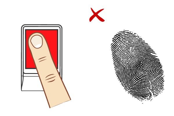 Mantra MFS 110 Fingerprint Scanner L 1 - Image 4