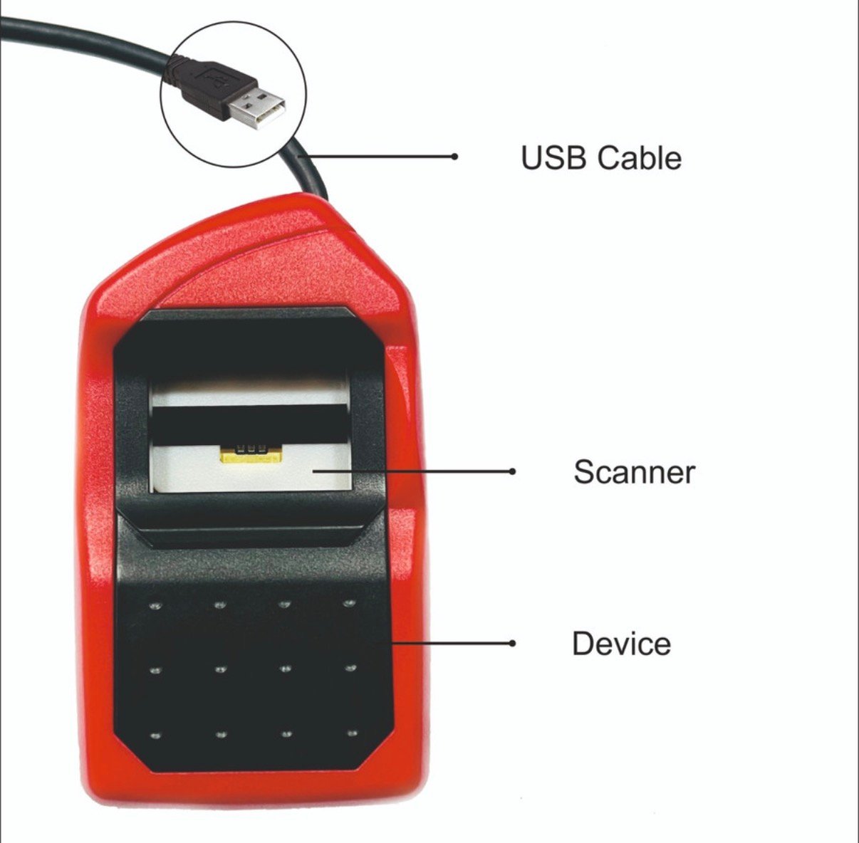 Morpho MS01300 E3 RD L 1 Biometric - Image 2